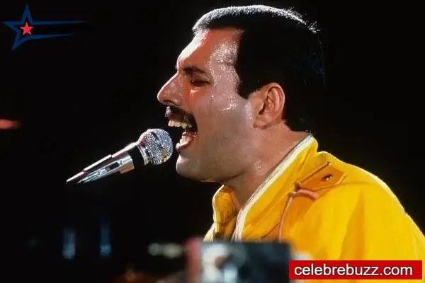 Freddie Mercury Taille Début de carrière musicale 