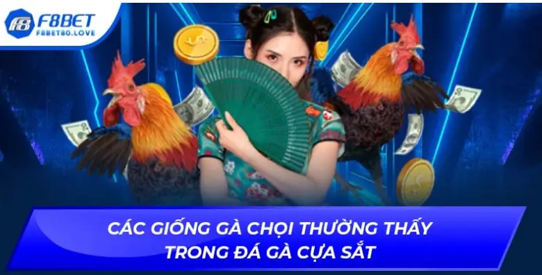 Steel Talon Cockfighting at F8BET A Thrilling Online Betting Experience