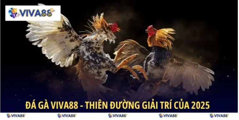 VIVA88 Cockfighting – Get Rich With Invincible Cockfighting Experts