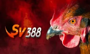 Đá Gà SV388 Online – Where to Find a Trusted Nhà Cái SV388