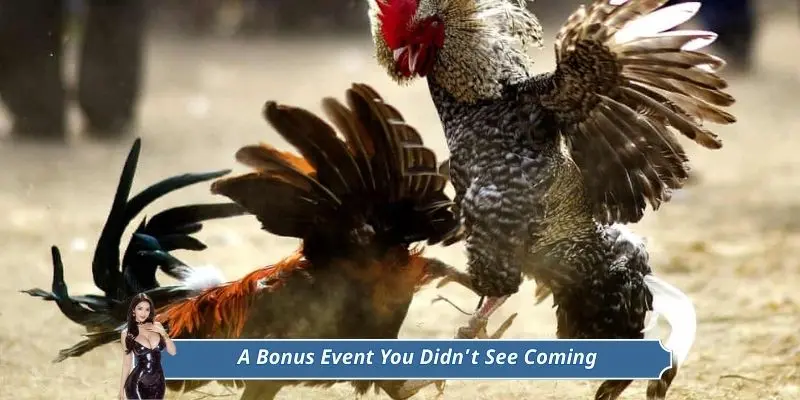 A Bonus Event You Didn’t See Coming
