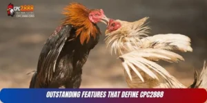 CPC2888 | The Ultimate Playground for Asian Betting Enthusiasts