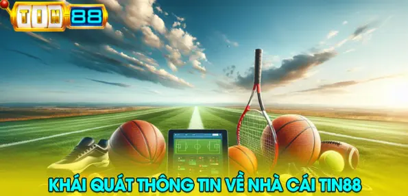 Overview of information about Tin88 bookmaker 