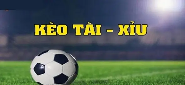 
The Cultural and Strategic Appeal of Keo nha cai Online
