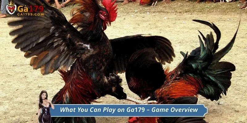What You Can Play on Ga179 – Game Overview