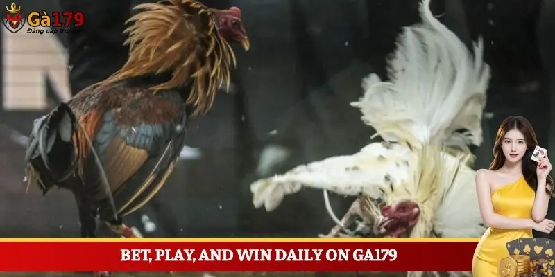 Bet, play, and win daily on Ga179