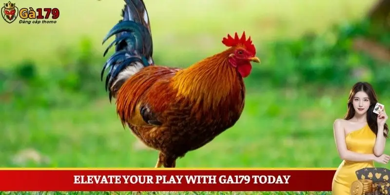 Elevate Your Play With Ga179 Today