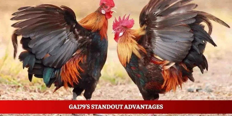 Ga179’s standout advantages