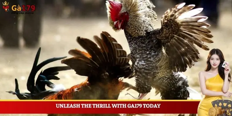 Unleash the thrill with Ga179 today