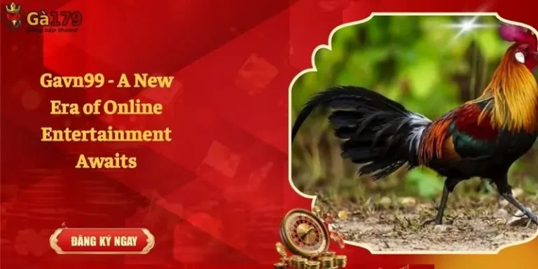 Gavn99 - A New Era of Online Entertainment Awaits