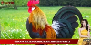 Gavn99 - A New Era of Online Entertainment Awaits