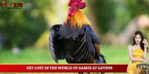 Gavn99 - A New Era of Online Entertainment Awaits