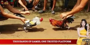 Gavn99 – The Ultimate All-in-One Online Gaming Ecosystem