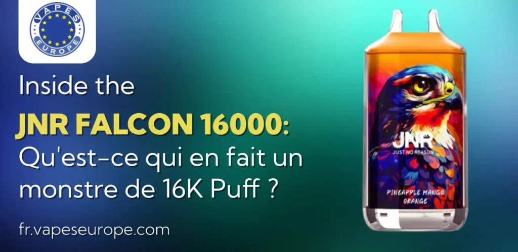 Inside the JNR Falcon 16000 Qu'est-ce qui en fait un monstre de 16K Puff