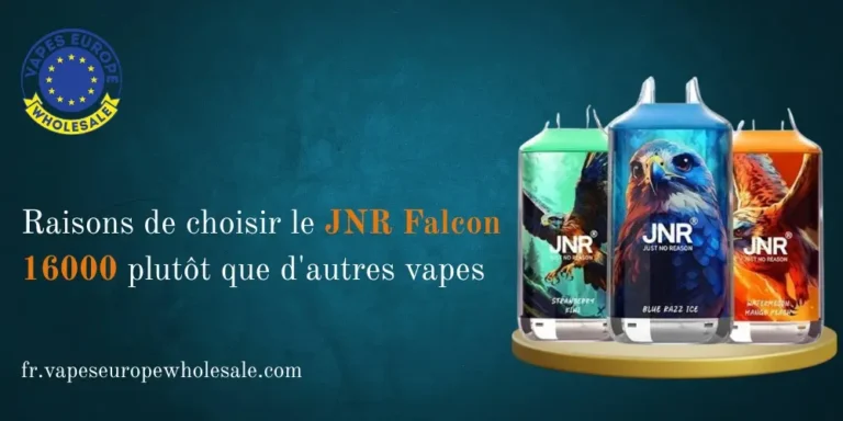 Raisons de choisir le JNR Falcon 16000 plutôt que d'autres vapes