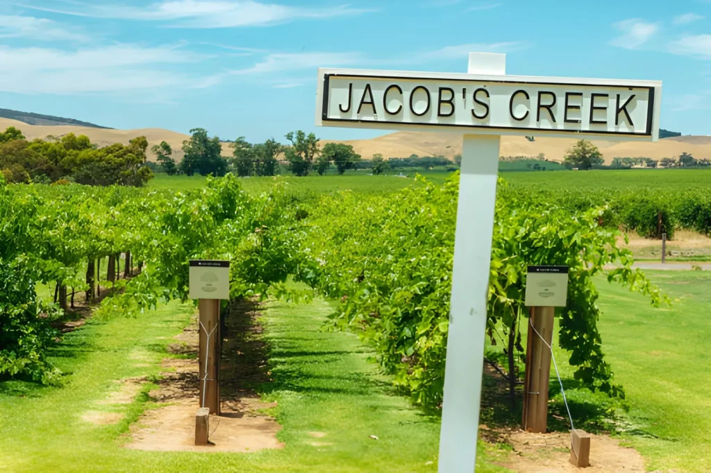 Taste The Barossa vs. DIY Wine Touring What's the Difference