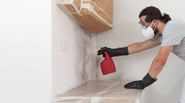 Mold Prevention 101: Keeping Your Destin Home Fresh and Healthy Mold Prevention 101: Keeping Your Destin Home Fresh and Healthy