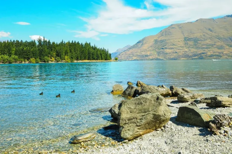 5 Hidden Gem Wedding Locations in NZ You’ve Probably Never Heard Of