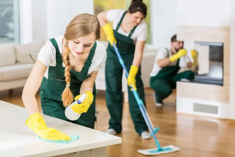 A Homeowner’s Guide to House Washing for a Cleaner, Healthier Living Environment