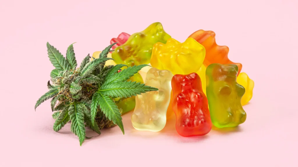 Are Weed Gummies Safe Effects, Benefits, and Risks