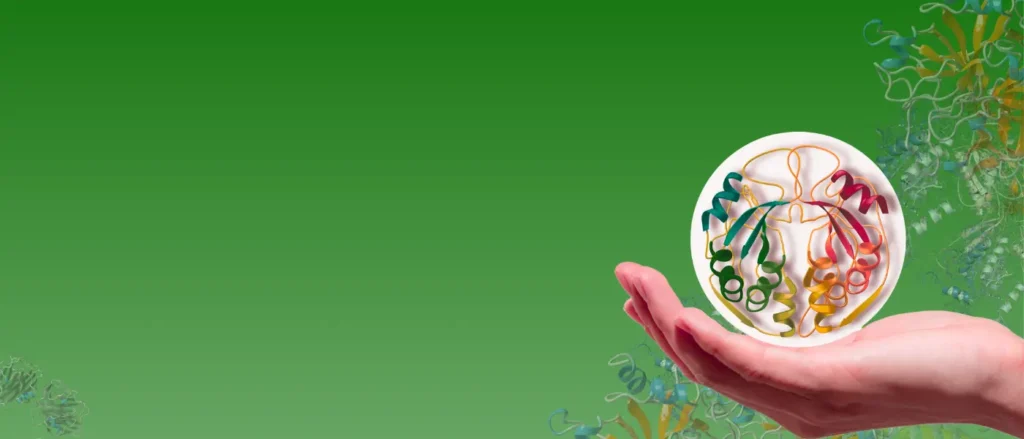 Semi Custom Protein Services – Fast, Flexible Solutions