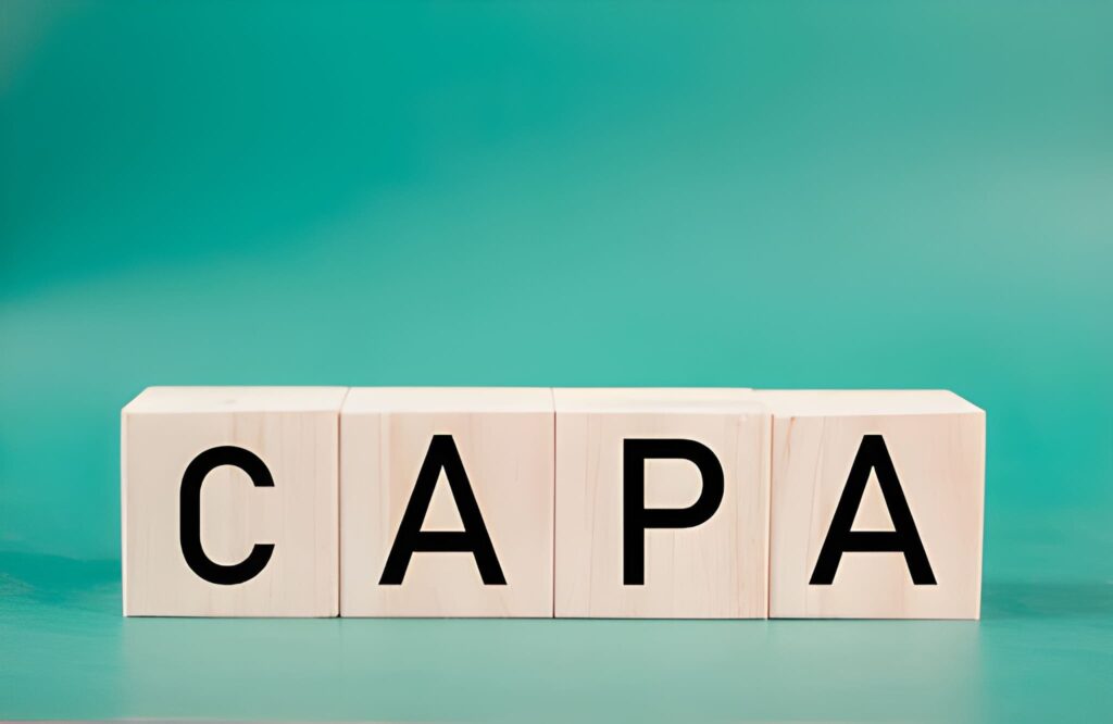 How CPAs Elevate Financial Accountability Across Industries