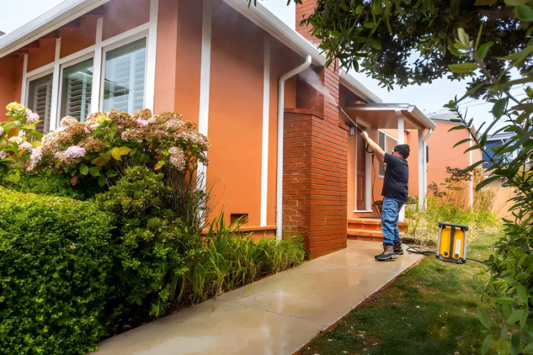 How Exterior House Washing Preserves Home Appearance, Prevents Organic Growth, and Supports Long-Term Maintenance