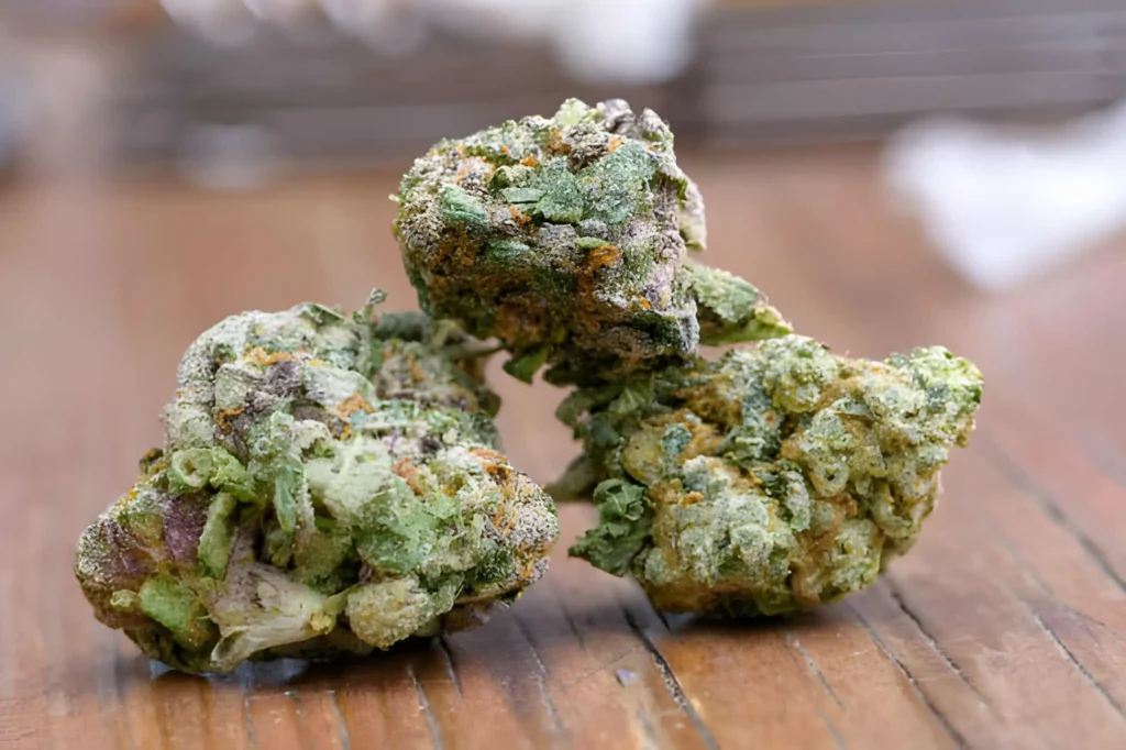 Top 5 Benefits of High THCA Flower