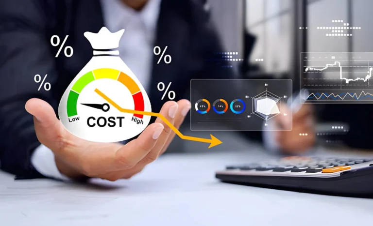 Why CPAs Are Vital In Evaluating Business Investments