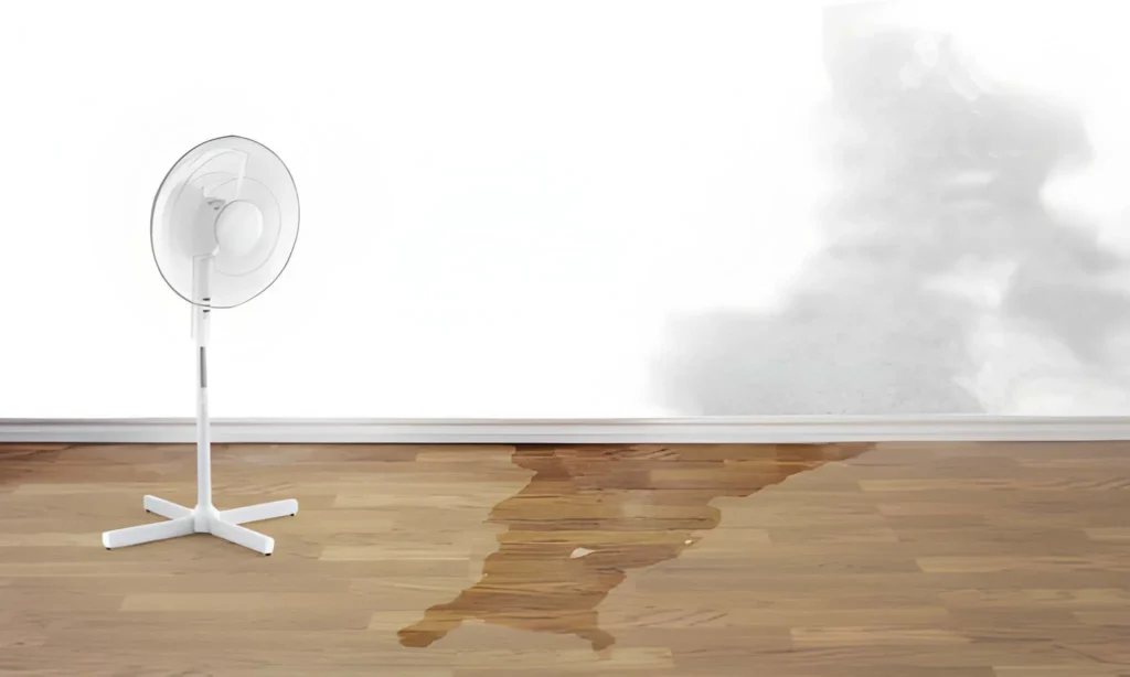 Why Immediate Water Damage Restoration Minimizes Costs and Prevents Secondary Damage