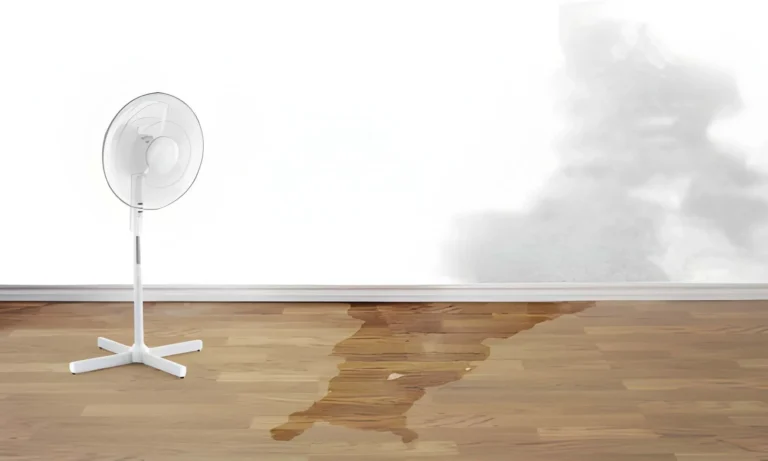 Why Immediate Water Damage Restoration Minimizes Costs and Prevents Secondary Damage