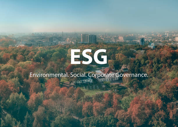 Revised ESRS and Voluntary Sustainability Reporting Standards Become Final: What Changes for Estonian Companies from 2027